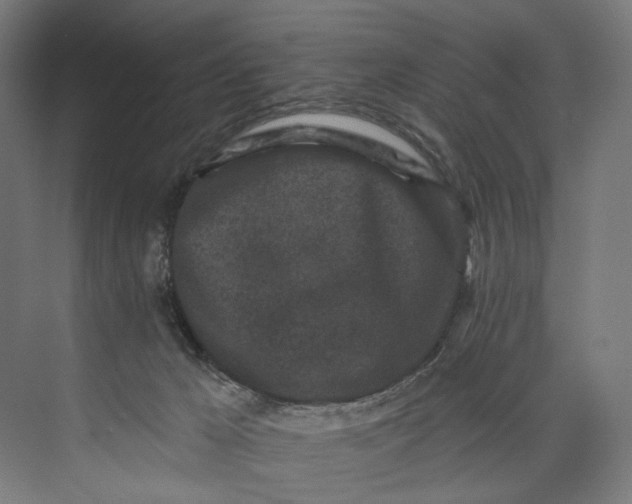 X0000073710029200608241454