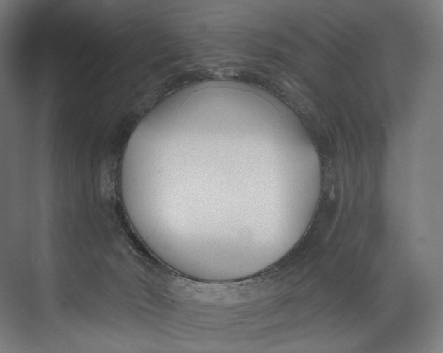 X0000073710030200608241454