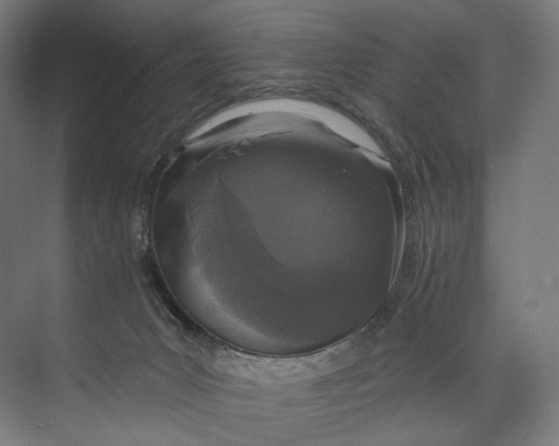 X0000073710031200608241454