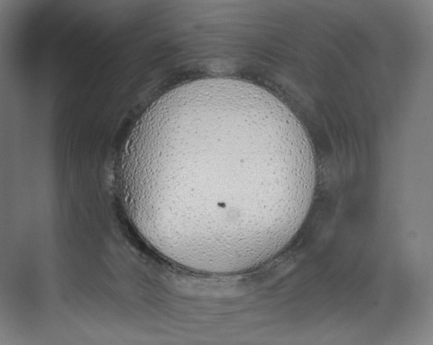 X0000073710032200608241454