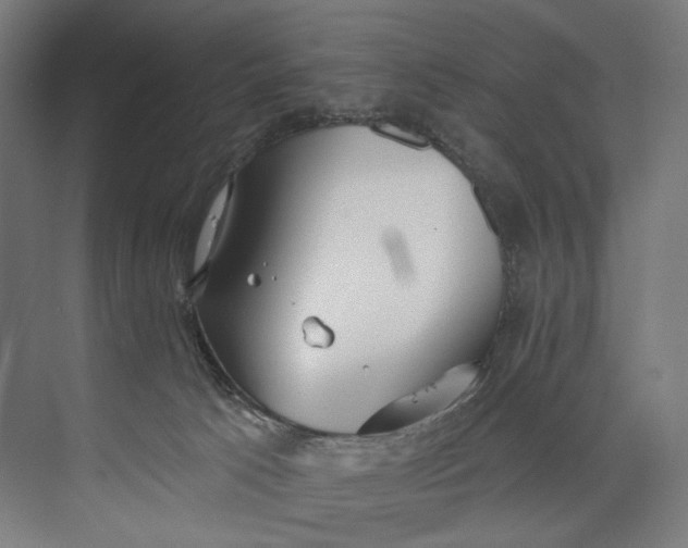 X0000073710033200608241454