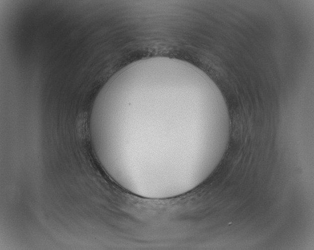 X0000073710034200608241454