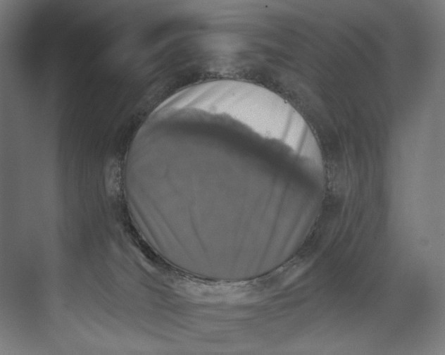 X0000073710036200608241454