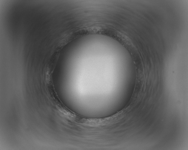 X0000073710037200608241454