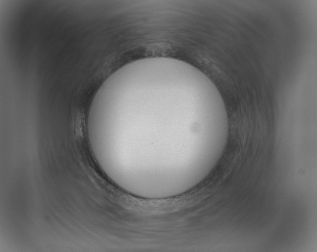 X0000073710038200608241454