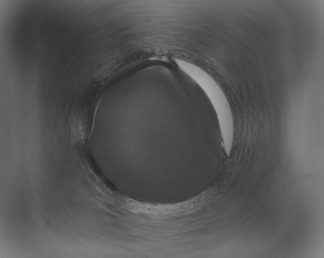 X0000073710039200608241454