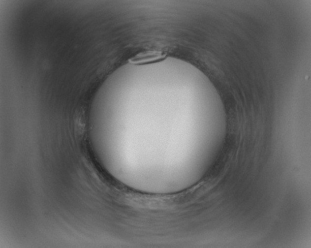 X0000073710040200608241454