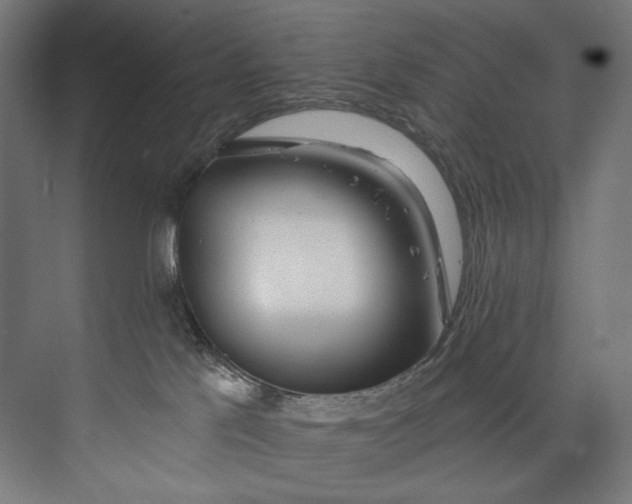 X0000073710041200608241454