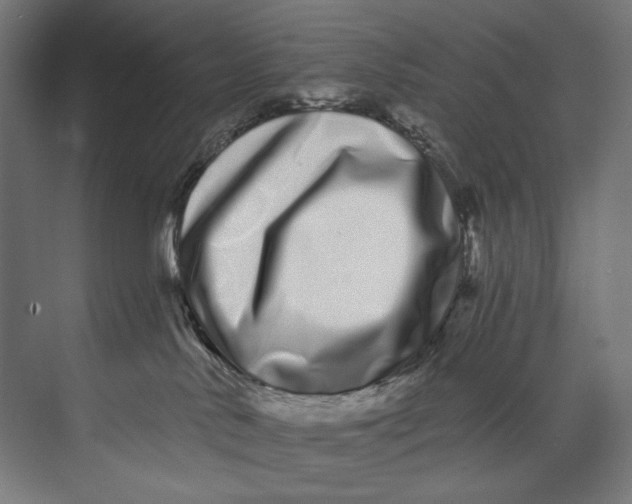 X0000073710042200608241454