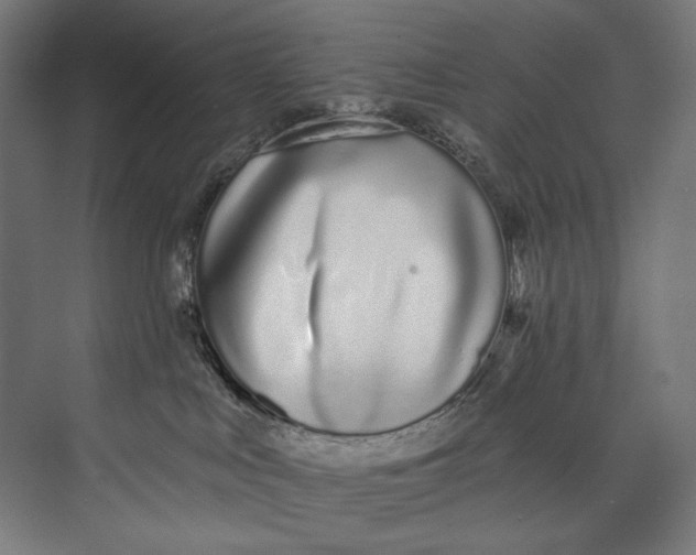 X0000073710043200608241454