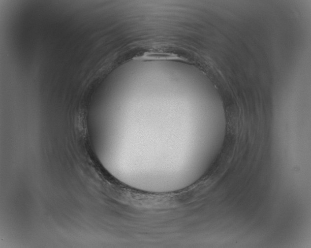 X0000073710044200608241454