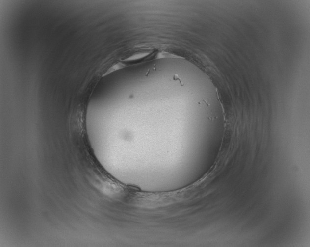 X0000073710045200608241454