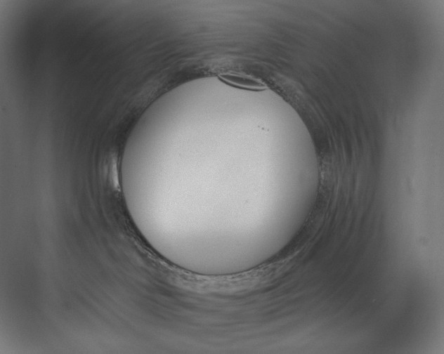 X0000073710046200608241454