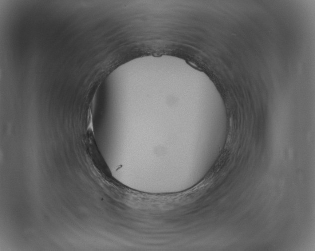 X0000073710048200608241454