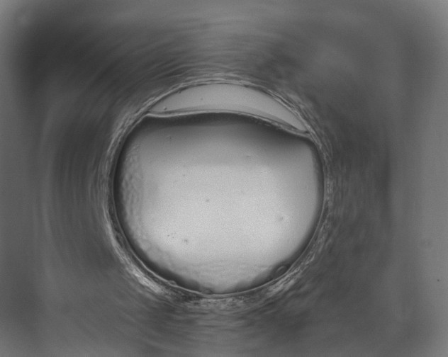 X0000073710049200608241453