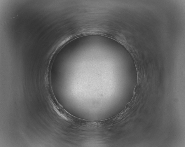 X0000073710050200608241453