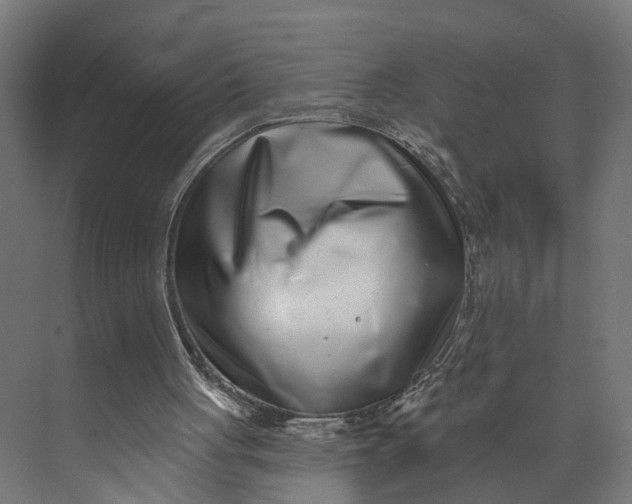 X0000073710051200608241453