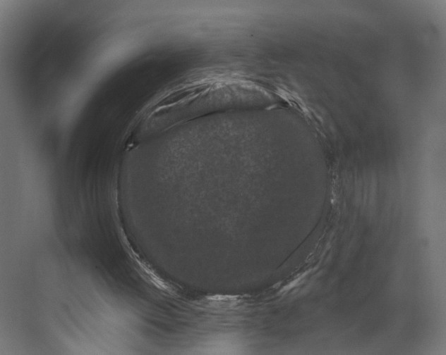 X0000073710052200608241453