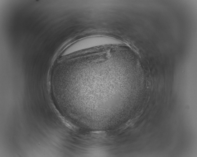 X0000073710053200608241453