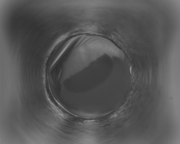 X0000073710054200608241453