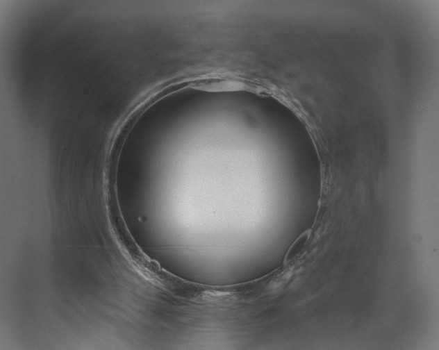 X0000073710055200608241453