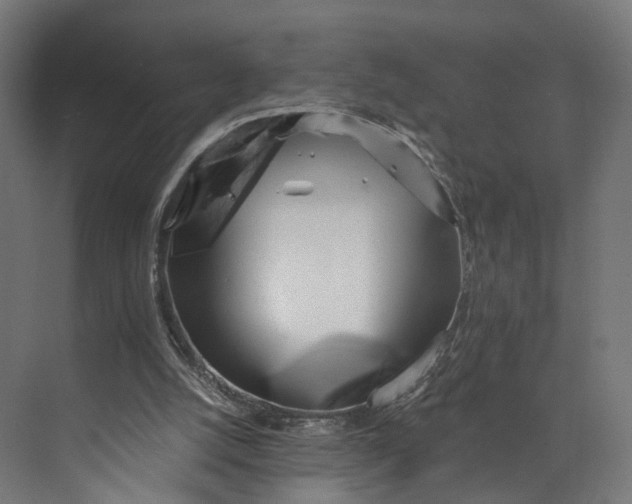 X0000073710056200608241453