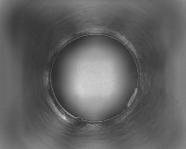 X0000073710057200608241453