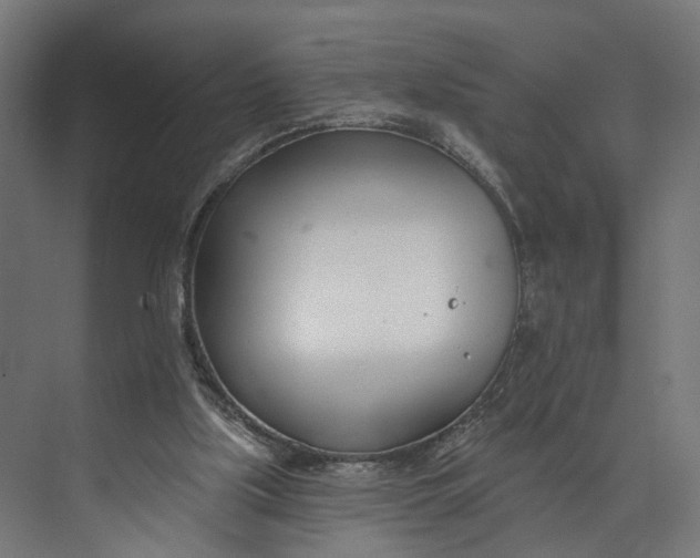 X0000073710059200608241453