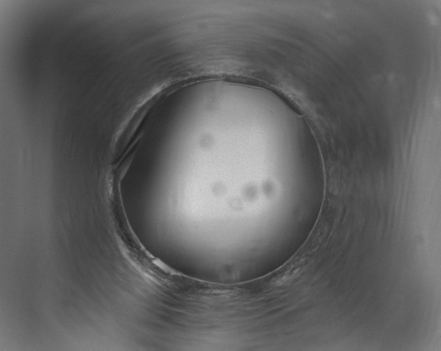 X0000073710060200608241453