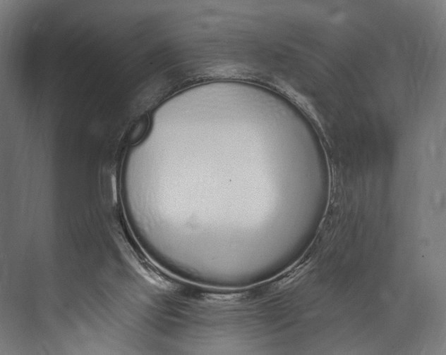 X0000073710061200608241453