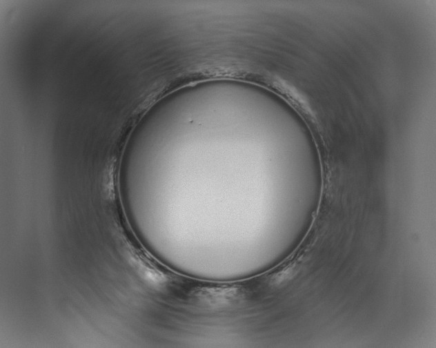 X0000073710065200608241454