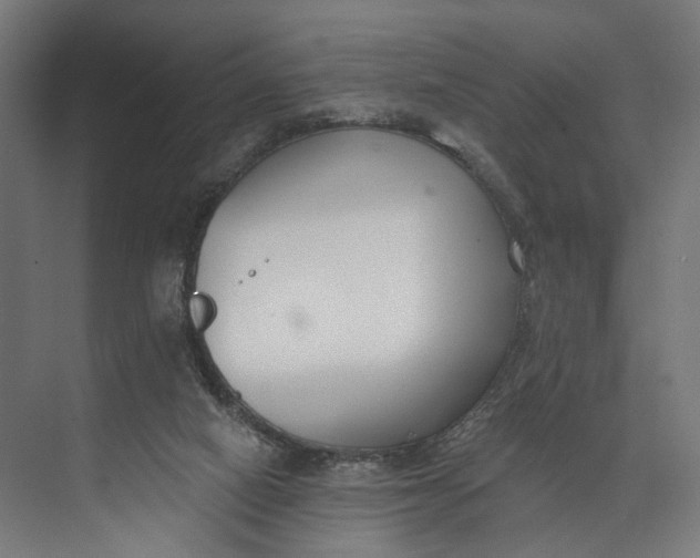 X0000073710066200608241454