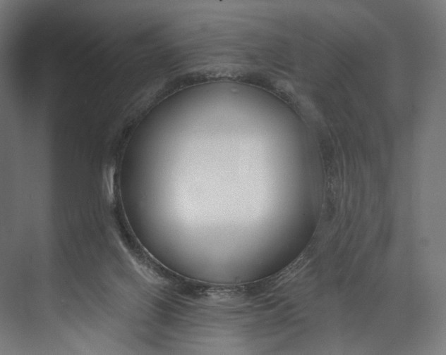 X0000073710070200608241454