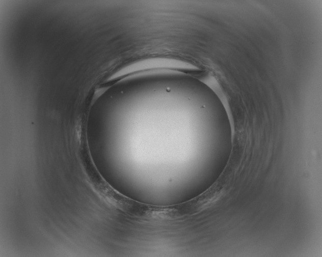 X0000073710072200608241454