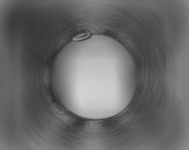 X0000073710078200608241454