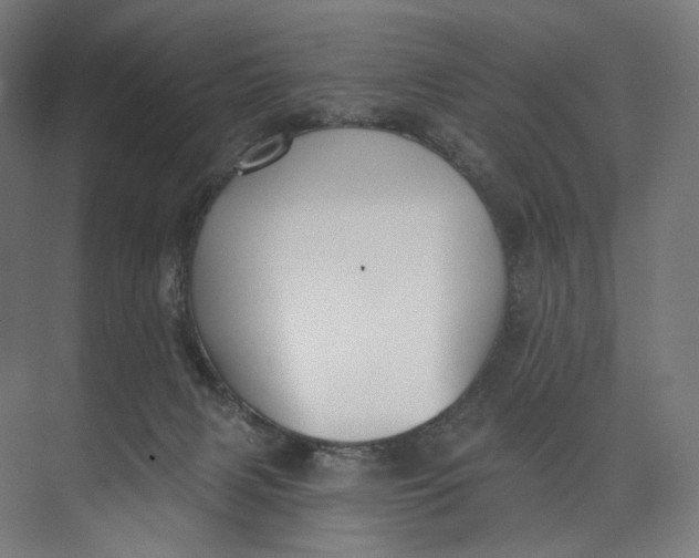 X0000073710079200608241454