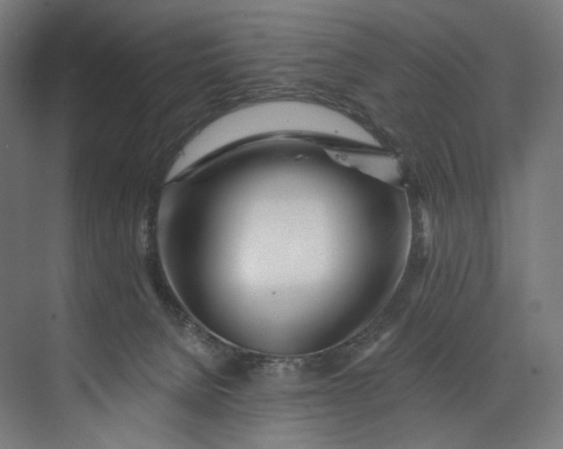 X0000073710080200608241454