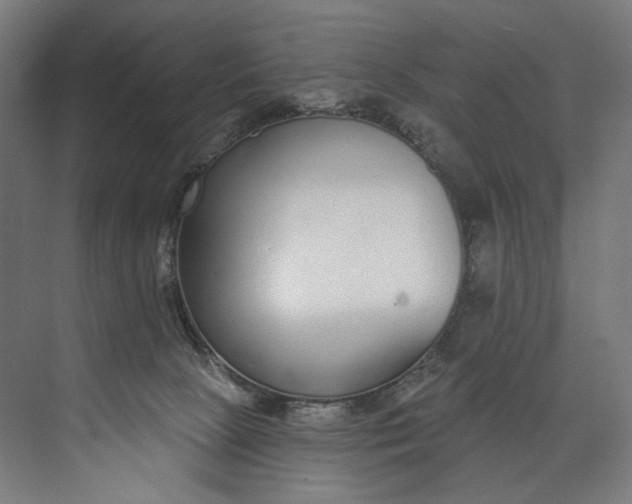 X0000073710081200608241454