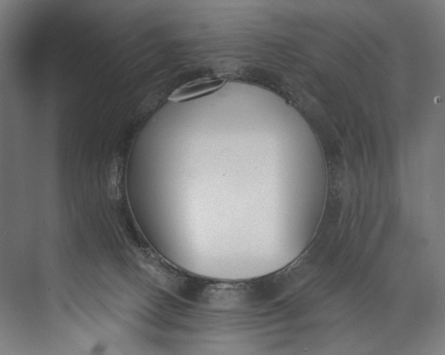 X0000073710082200608241454