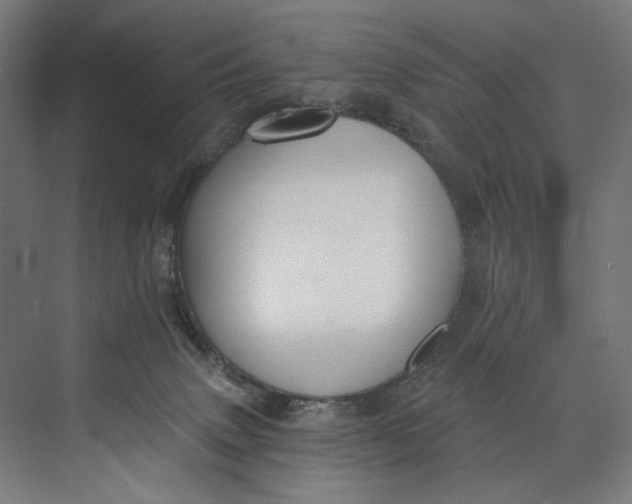 X0000073710083200608241454