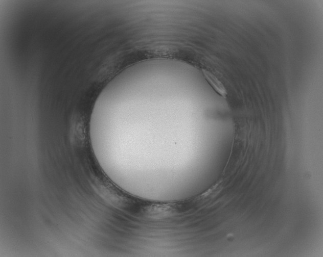 X0000073710086200608241454