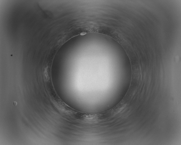 X0000073710088200608241454