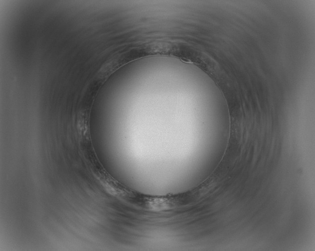 X0000073710091200608241454