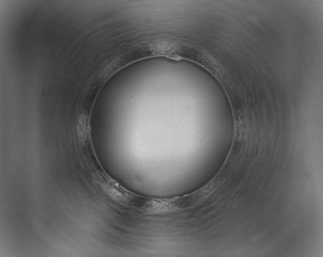 X0000073710093200608241454