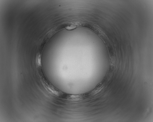 X0000073710095200608241454