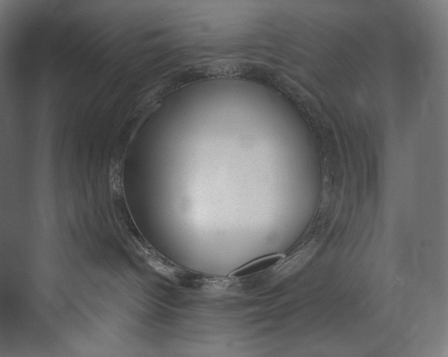 X0000073710096200608241454