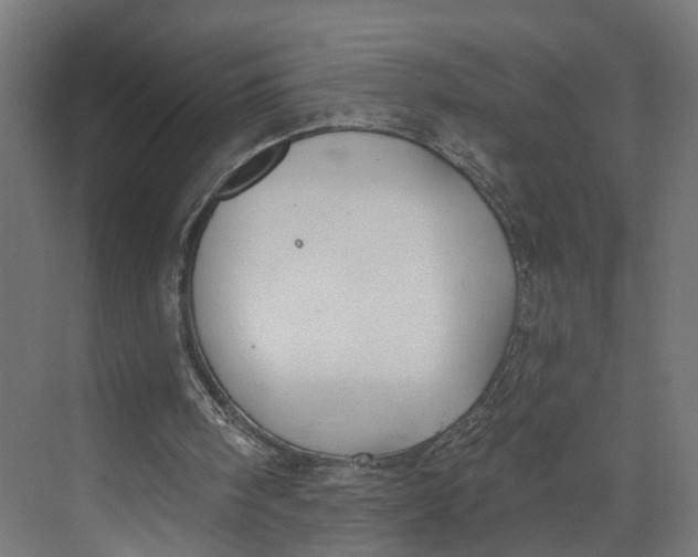 X0000073710098200608241453