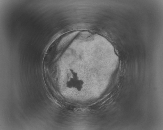 X0000073710099200608241453