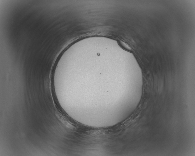 X0000073710100200608241453