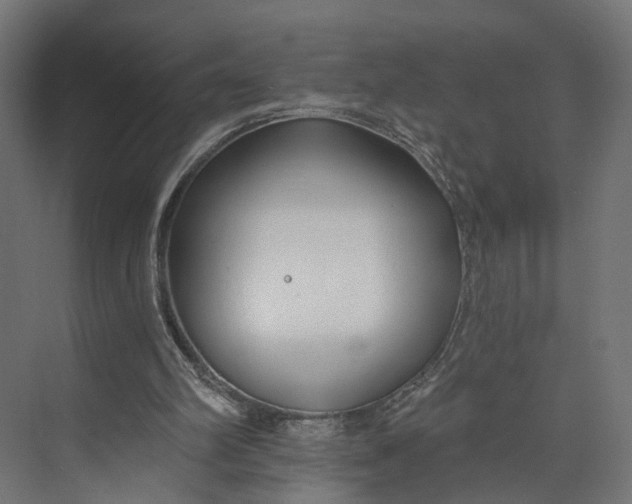 X0000073710102200608241453